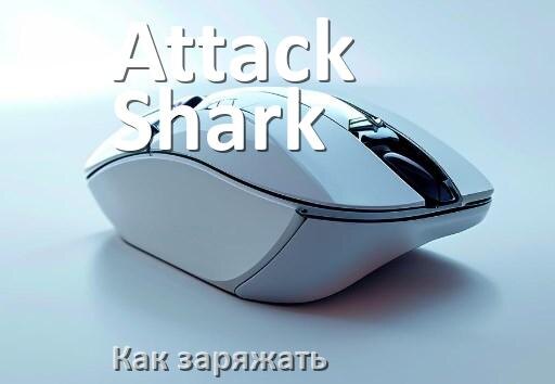 
Как зарядить беспроводную мышь Attack Shark по USB от компьютера и ноутбука
