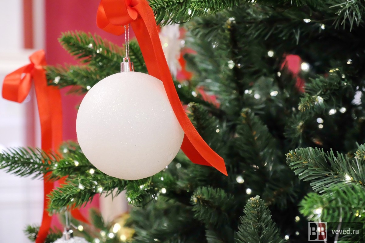     Фото: Владислав Постников / Вечерние ведомости