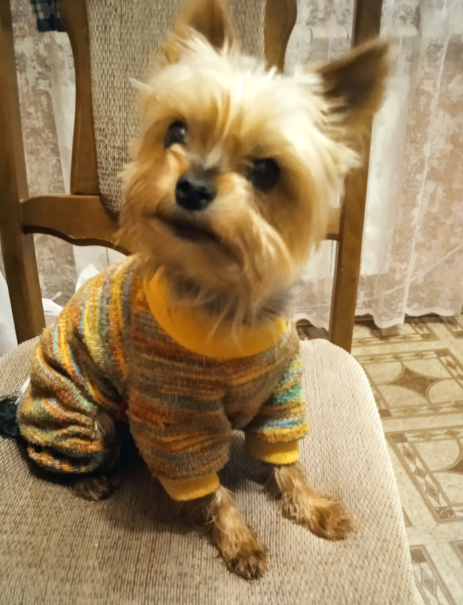 Чилл приветствует всех