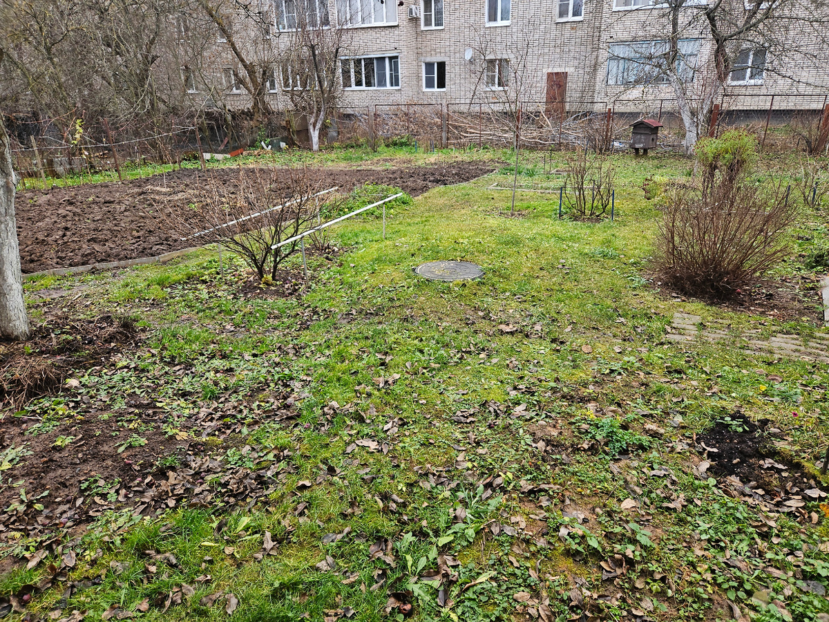 Наш подмосковный сад в начале декабря