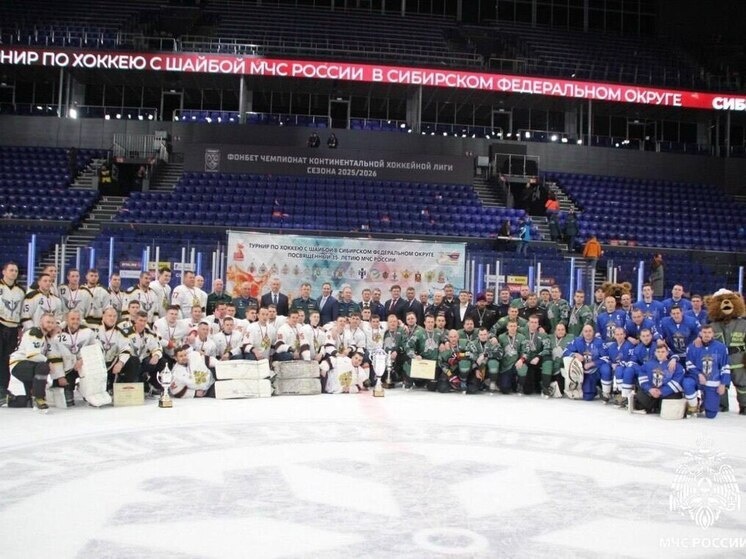     Фото: МЧС по Новосибирской области