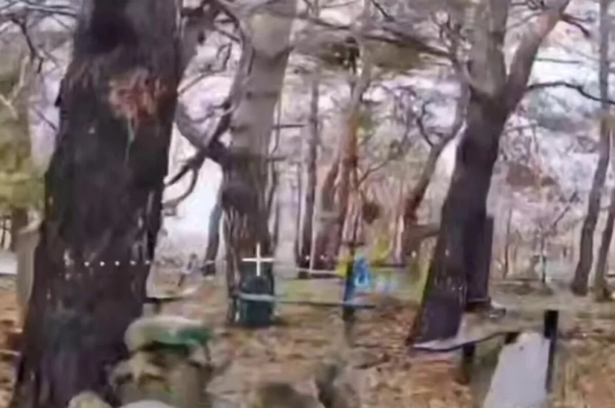    Российский дрон нашел и оставил на кладбище прятавшегося там боевика ВСУ