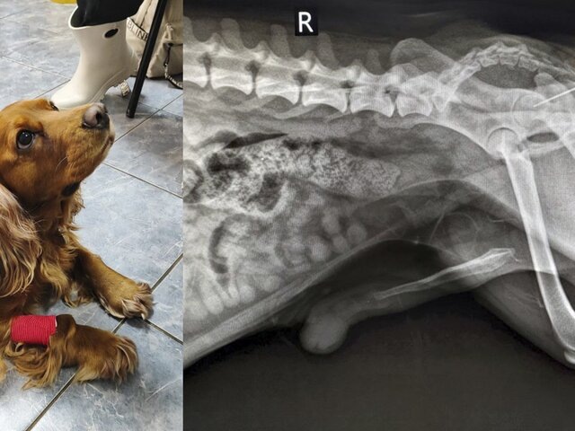    Фото: ГБУ "Мосветобъединение"