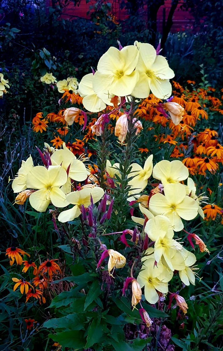 Фотография автора статьи из личного архива 