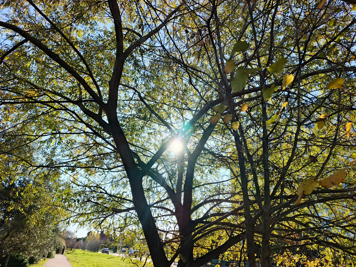 Адлер, декабрь 2025 года