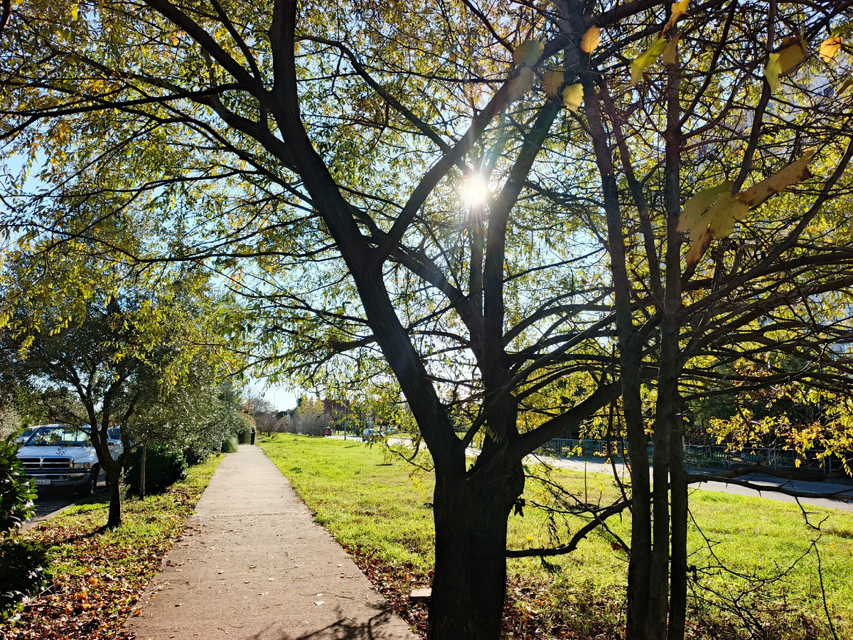 Адлер, декабрь 2025 года