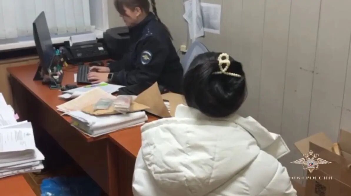    Фото: кадр видео МВД РФ