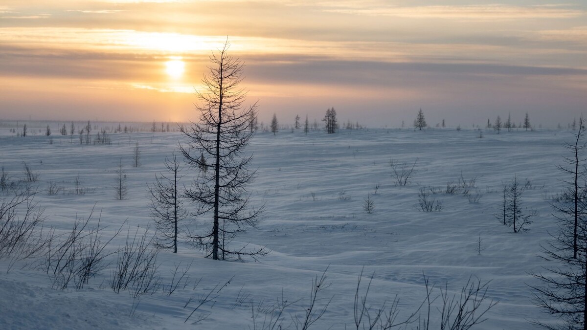    Фото: Сергей Зубков / «Ямал-Медиа»