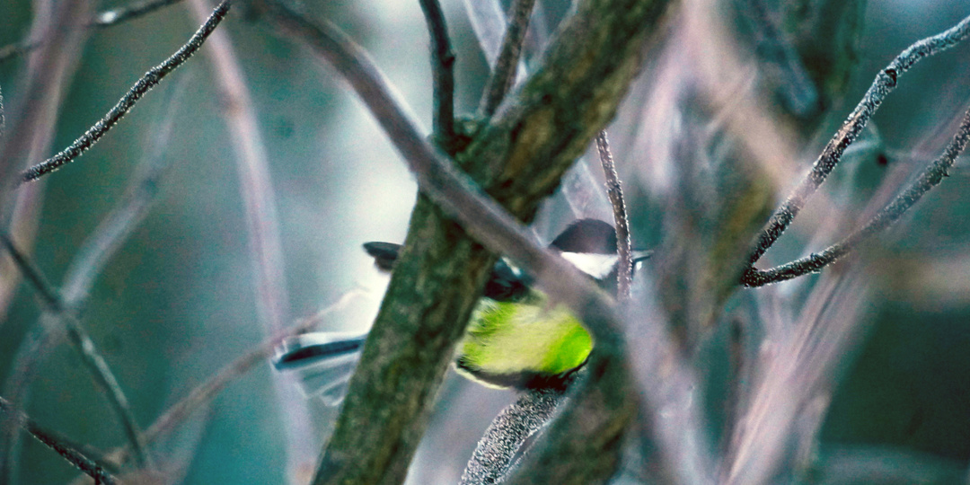 Гороскоп на 5 декабря для всех знаков: сегодня редкий шанс договориться без конфликтов