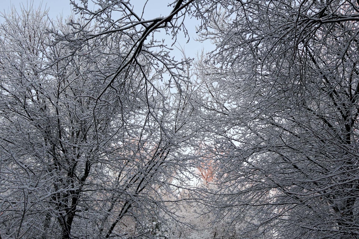 Говорить о полноценном зимнем покрове пока рано.  Фото: Фото: ФедералПресс / Вера Романескул