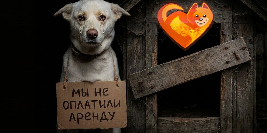 Частный хоспис не собрал на аренду, отдать нужно было ещё вчера!