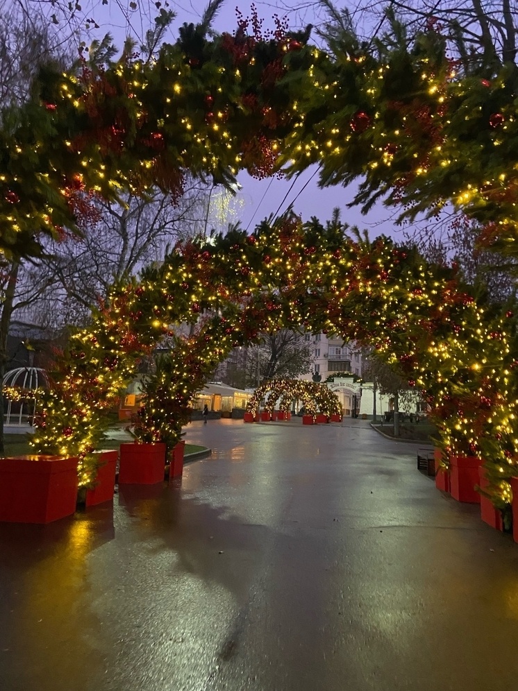   Елена Полякова