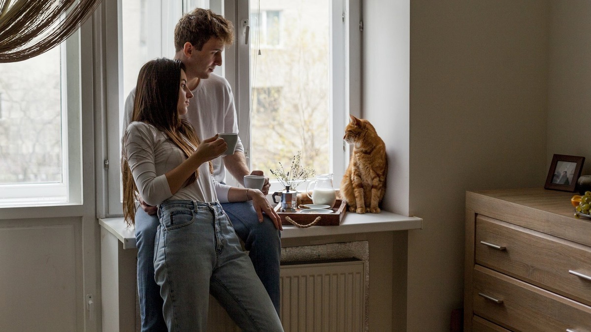    Ваш кот — это не бездельник, а сотрудник, выполняющий важную миссию по улучшению вашей жизни