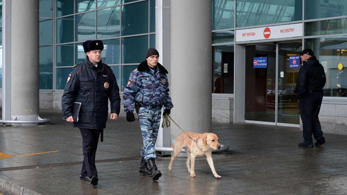    Фото: Free Wind 2014/Shutterstock/Fotodom