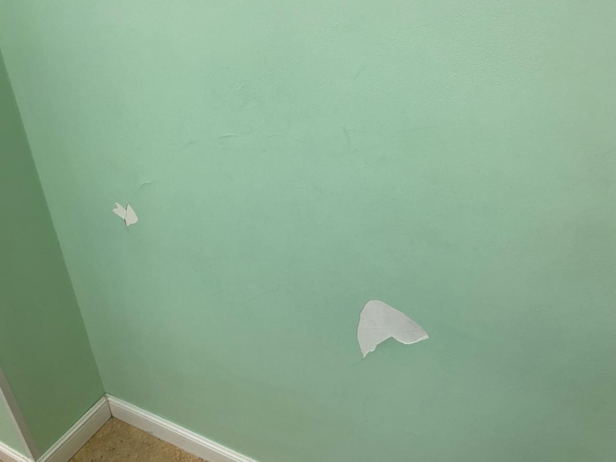 Испорченные стены в школе