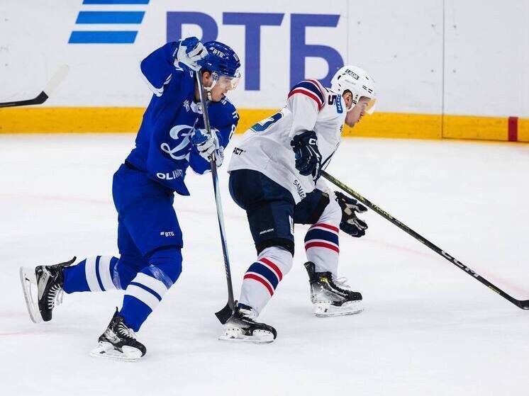     Фото: соцсети ХК «Лада»