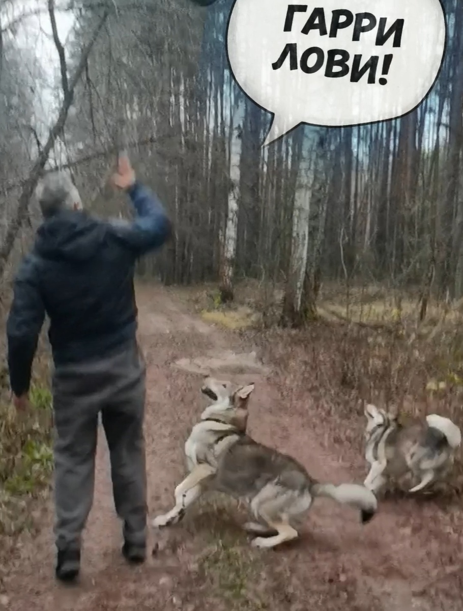 Синхронный старт 