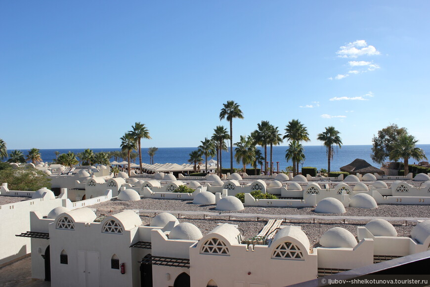 Вид из окна © Ljubov__Shhelkotunova