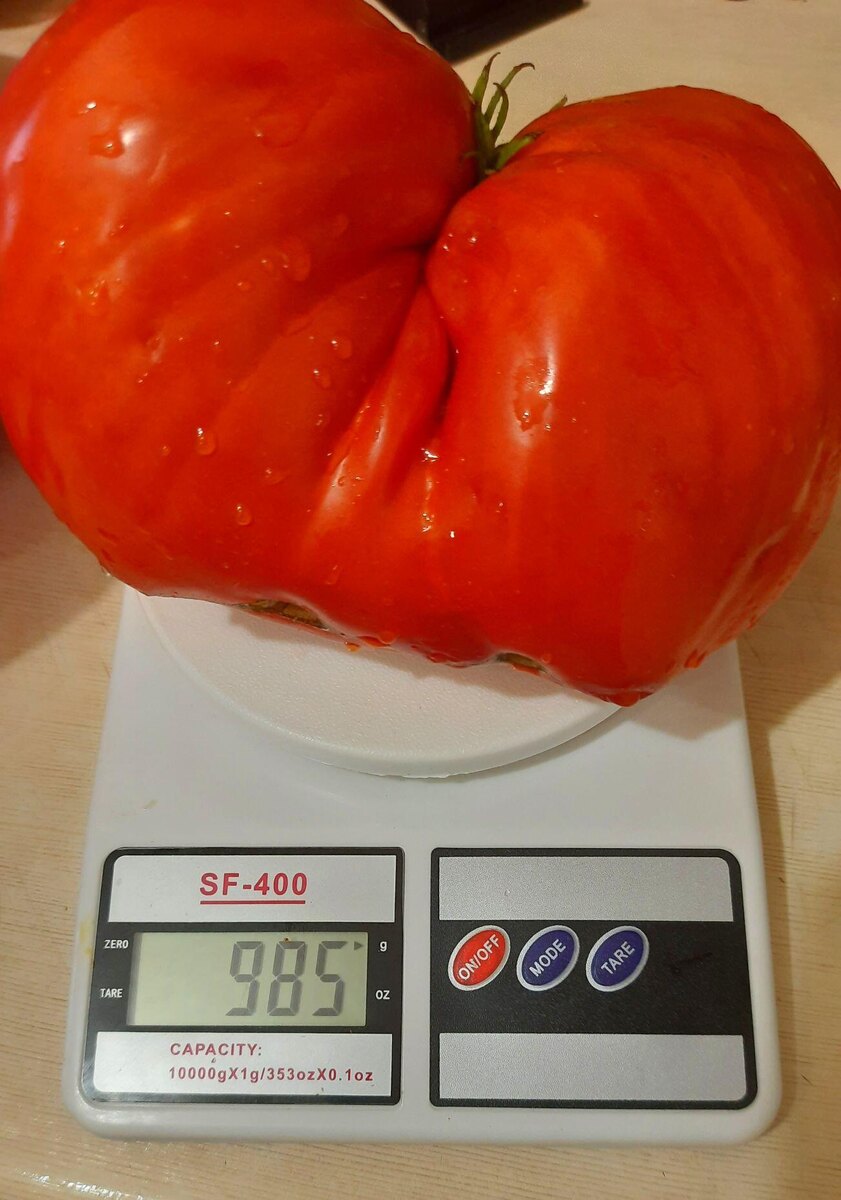 Древнее сердце из Аква Терме