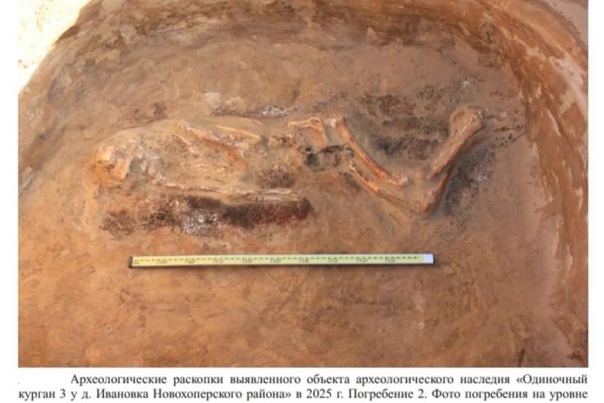    Фото: ООО «Центр охранных археологических исследований»
