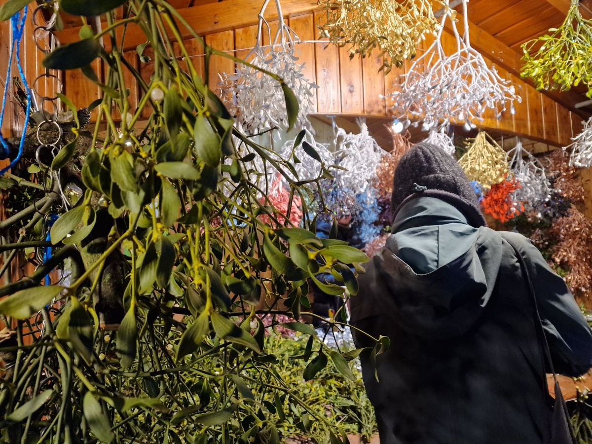 фото автора: киоск с омелой