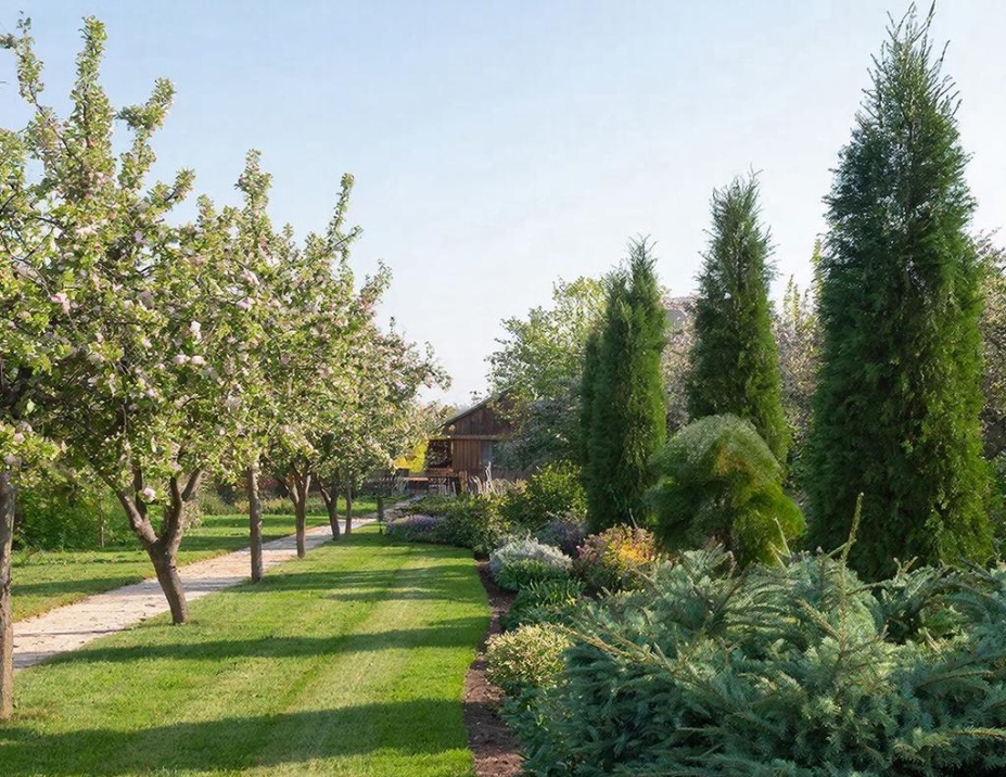 зонирование