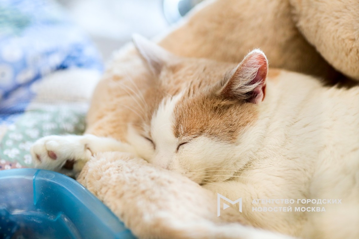 Фотограф: Василий Кузьмичёнок