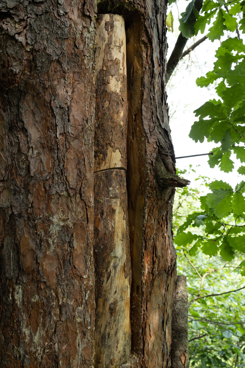 Закрытая борть 