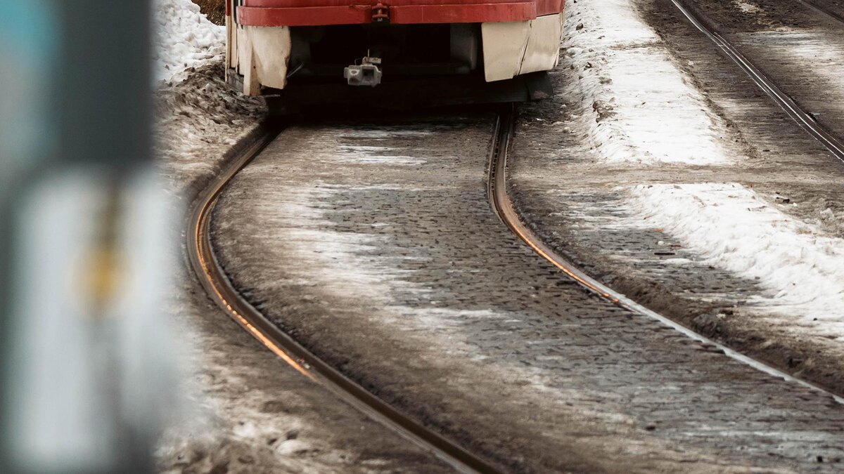    Фото: Anastasia Sorgina/globallookpress.com