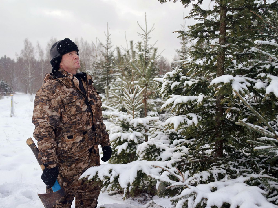    Фото: медиасток.рф