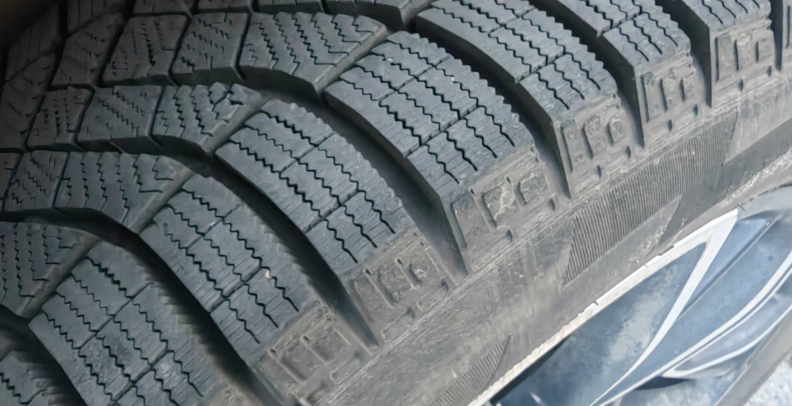    Фото: НИА "Экология"