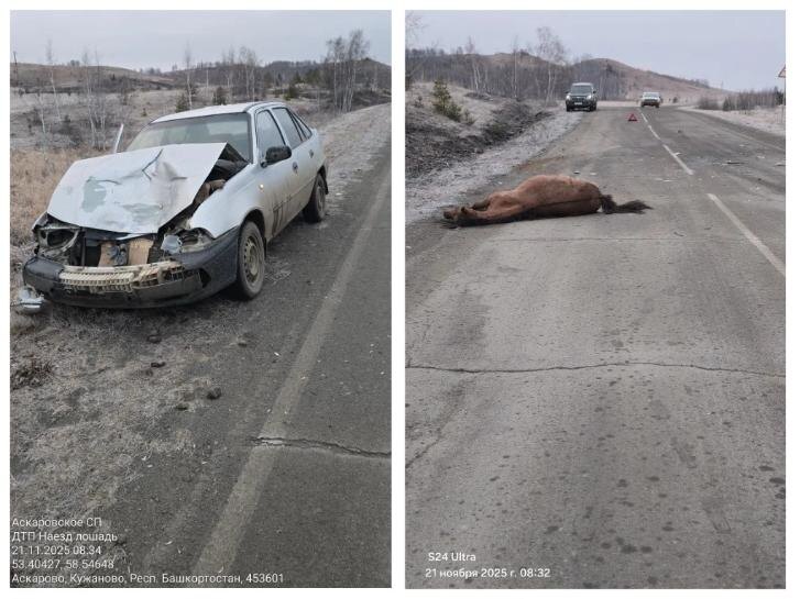    Фото: Администрация СП Аскаровский сельсовет