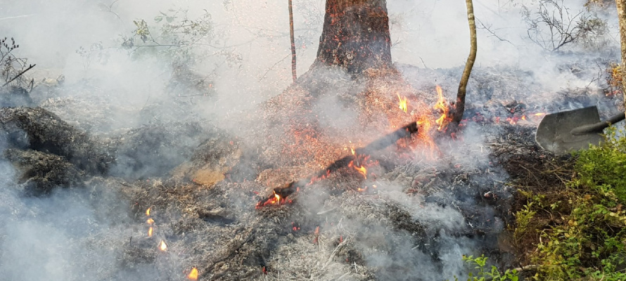    фото: © «Столица на Онего»