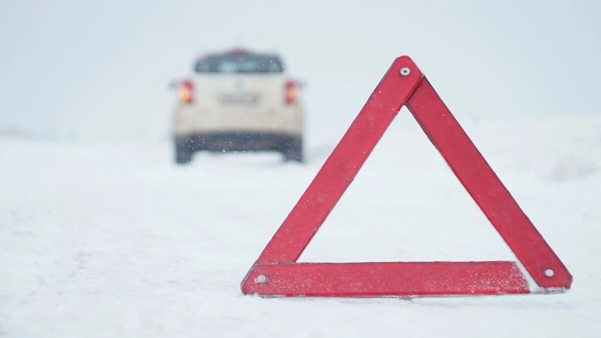    Фото: 63ru78/Shutterstock/Fotodom