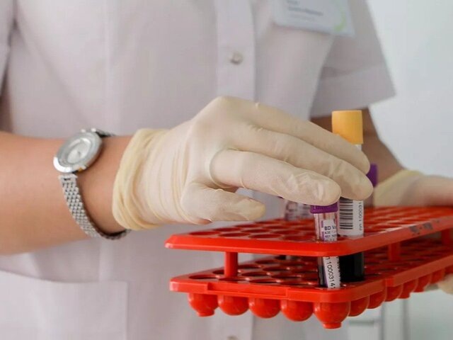    Фото: портал мэра и правительства Москвы