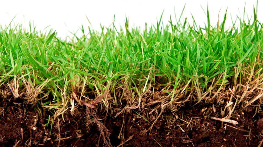 Фото: freepik / jannoon028