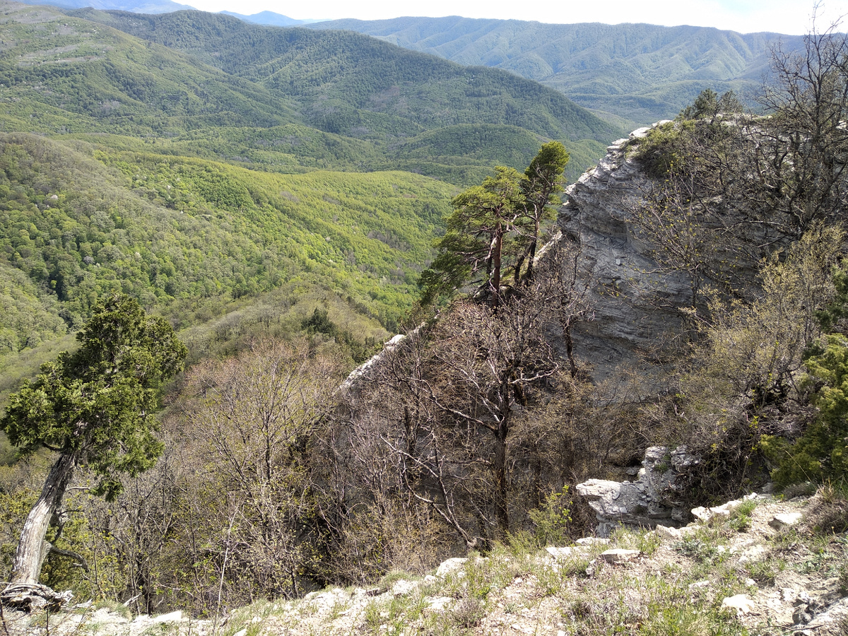 вид с горы Папай