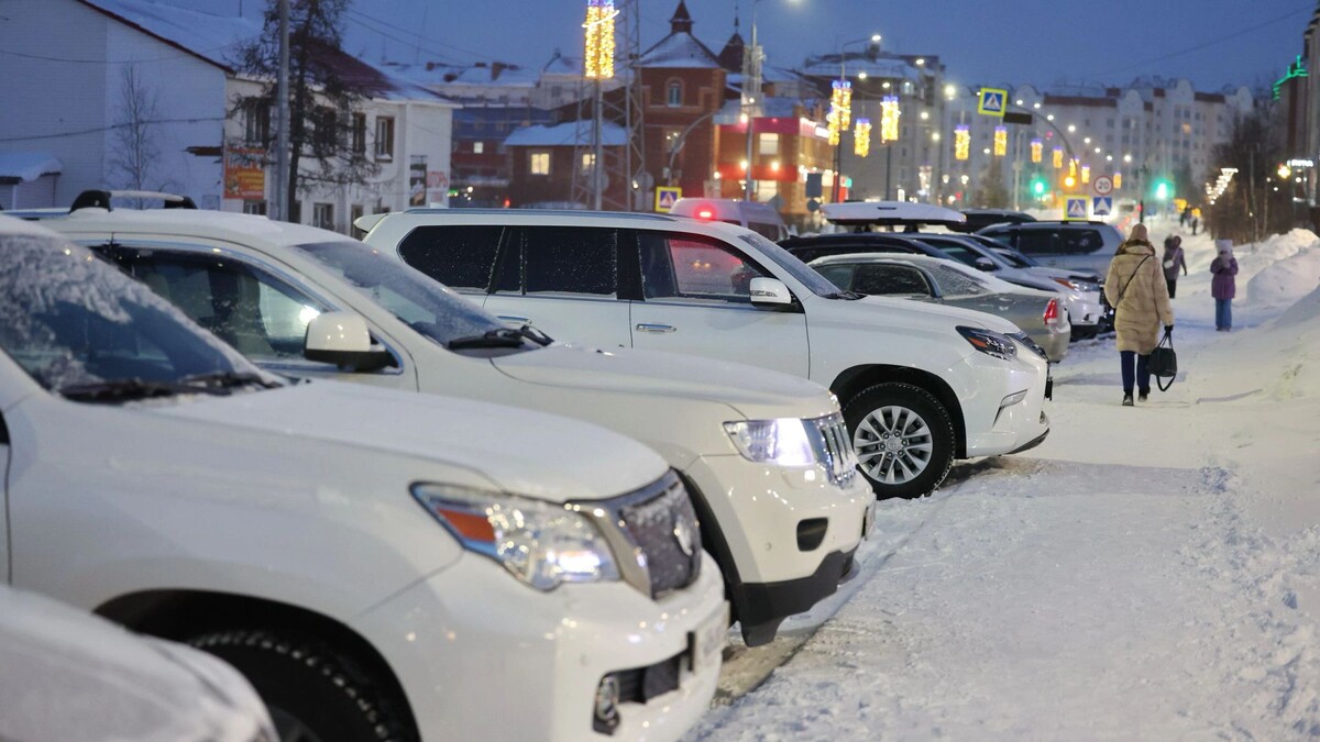    Фото: Андрей Ткачев / «Ямал-Медиа»