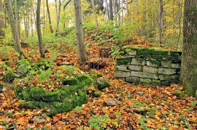    Остатки Любшанского городища. Фото: wikipedia.org