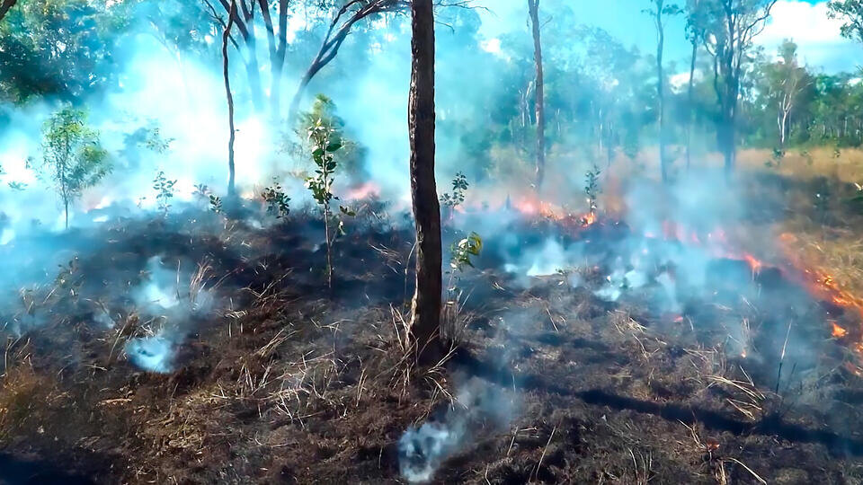 Фото: © Кадр из программы "Невероятно интересные истории", РЕН ТВ