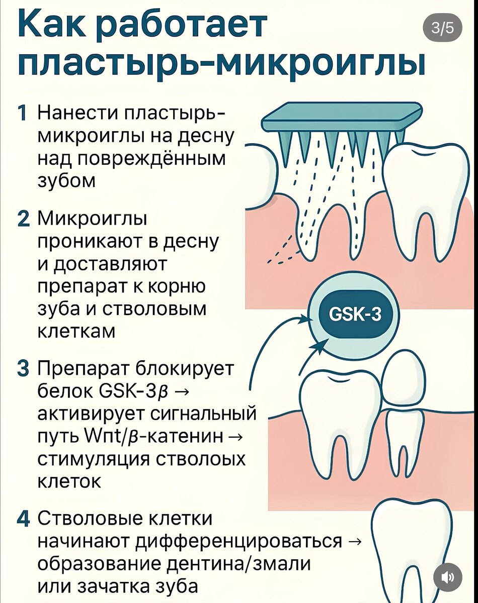 Предварительная инструкция к прототипу пластыря