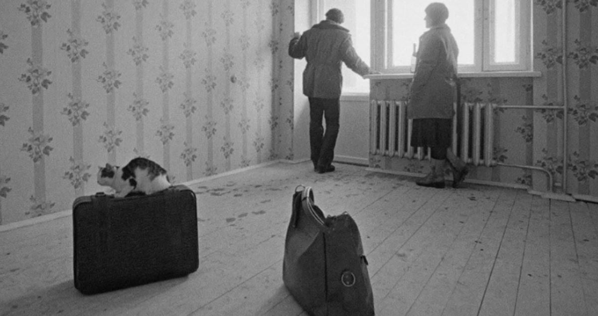 С чего же тут начинать?