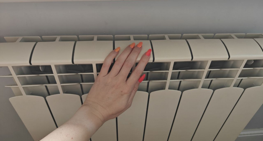    Фото: Первый городской канал Калининград