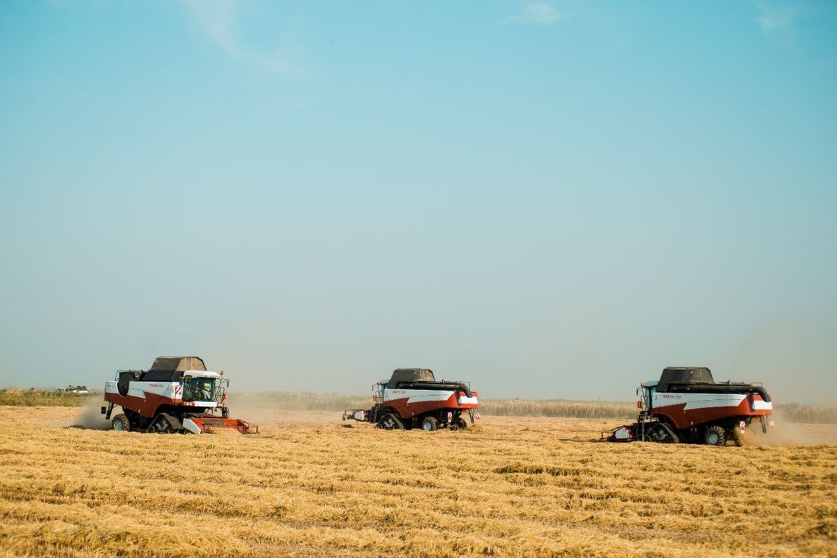    Фото t.me/rsinyagovskij