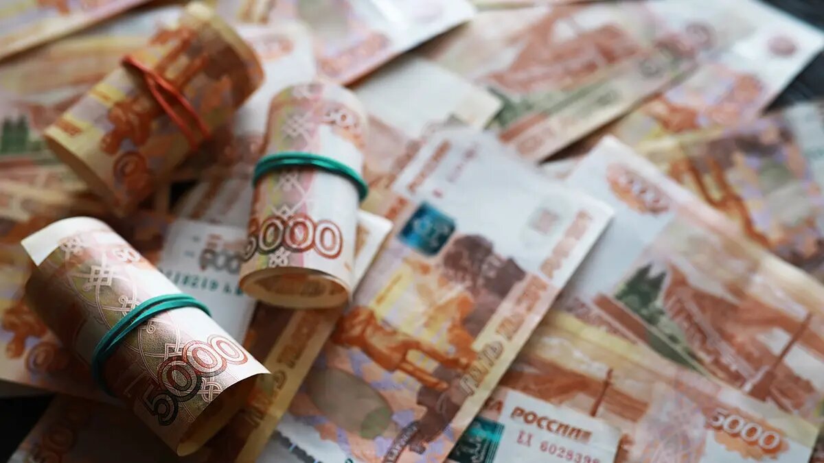    Фото: vm.ru Полина Белоусова