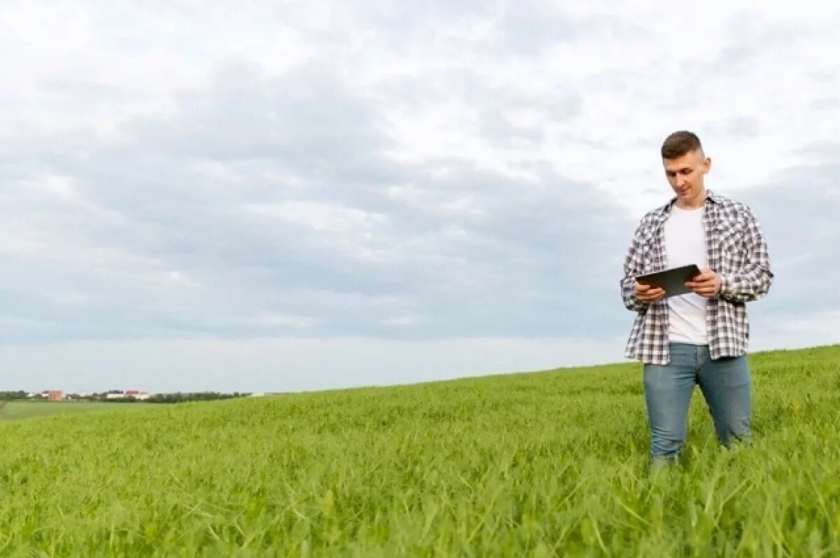    В Ярославской области владелец 9 участков выплатит штраф в тройном размере