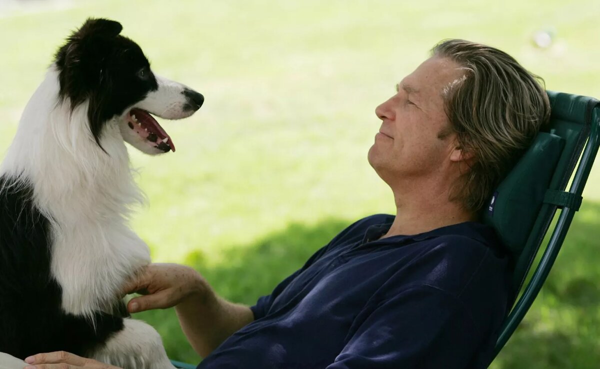 Кадр из фильма «Собачий год»