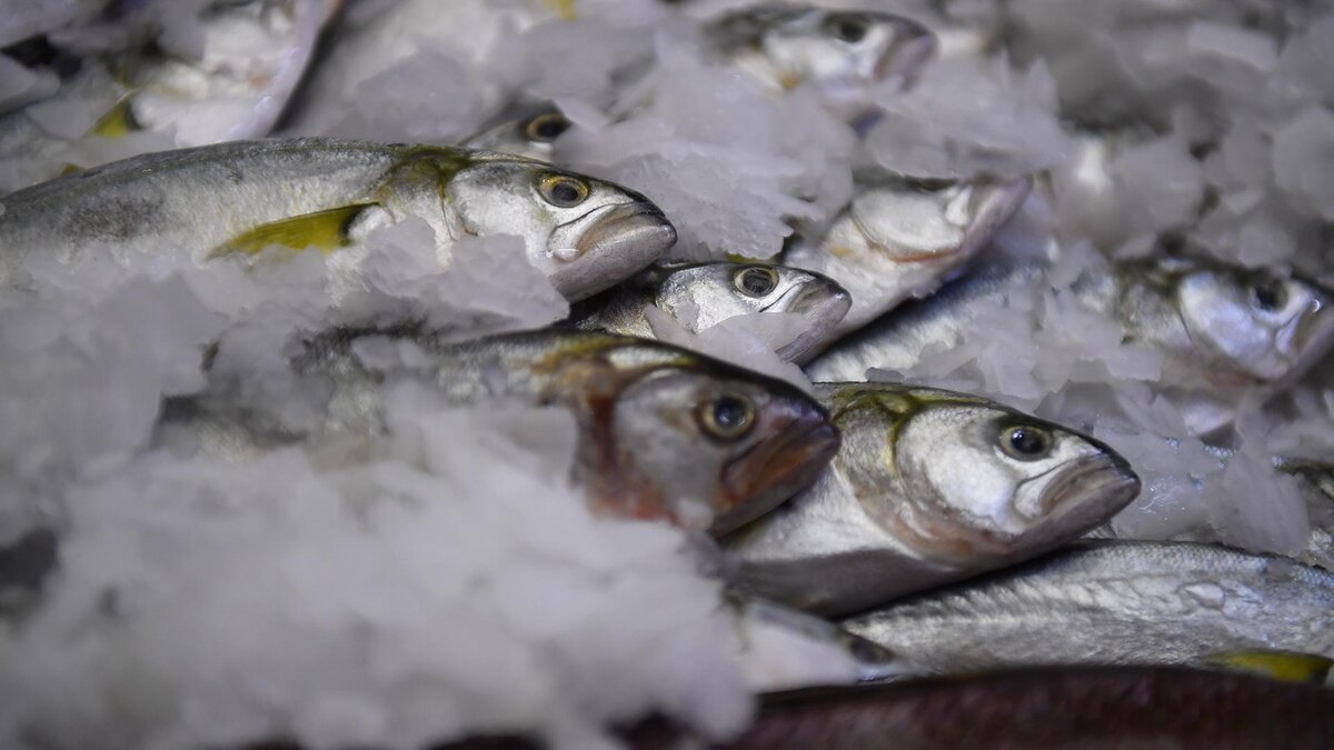    Фото: Komsomolskaya Pravda/globallookpress.com