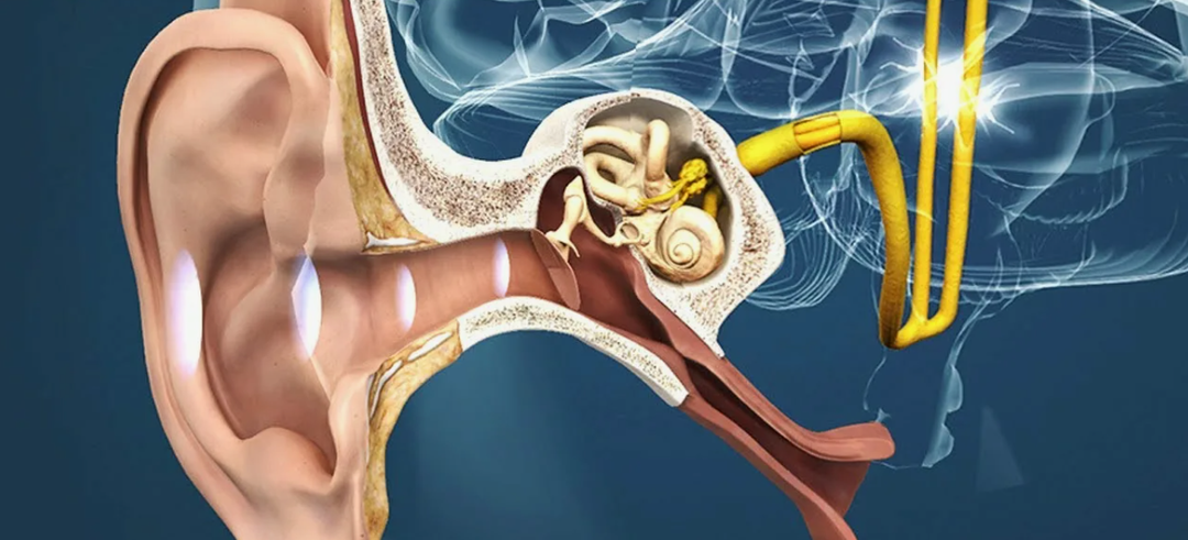 Избавилась от шума в ушах, когда стала делать эти 2 упражнения