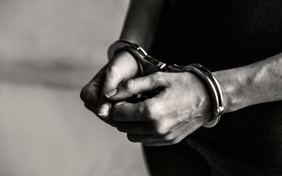 Фото: freepik / rawpixel.com